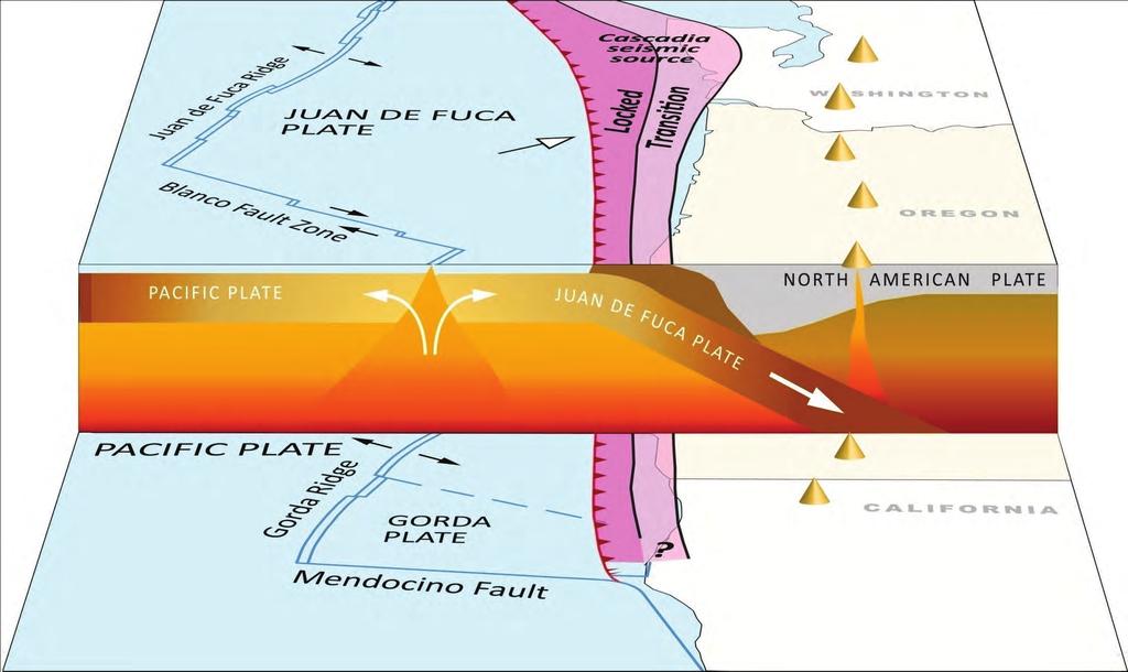 Plate Tectonic Map of the Pacific