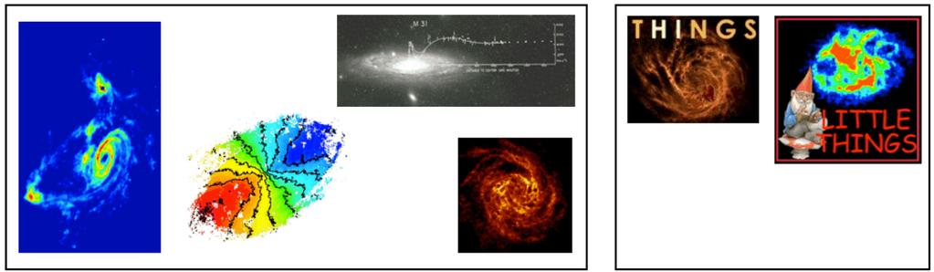 HI kinematics of resolved galaxies Dynamical structure : (dark) matter distribution in galaxies Interplay between ISM and star formation in