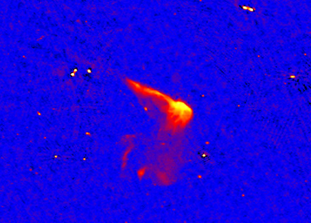 LOFAR Observations of Galaxy Clusters The Toothbrush Radio Relic
