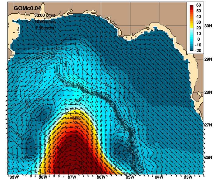 1/25 Nested Gulf of Mexico HYCOM Jan 26 2001 SSH and Surface
