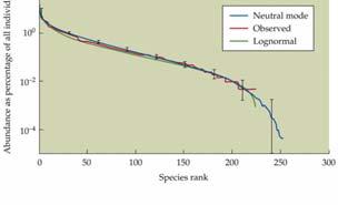 extinction, and dispersal Are all species competitively equivalent?
