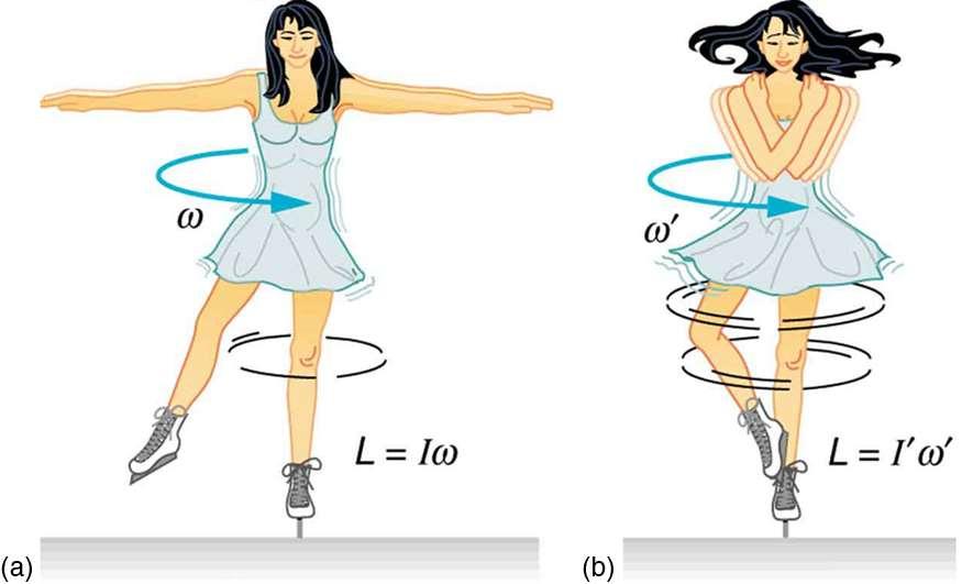 Figure 10.23 (a) (b) An ice skater is spinning on the tip of her skate with her arms extended. Her angular momentum is conserved because the net torque on her is negligibly small.
