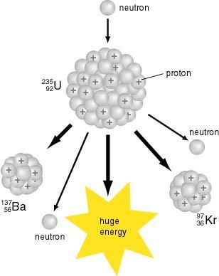 What nuclei can split during Only large nuclei like U or plutonium can