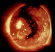Coronal holes are related to the Sun