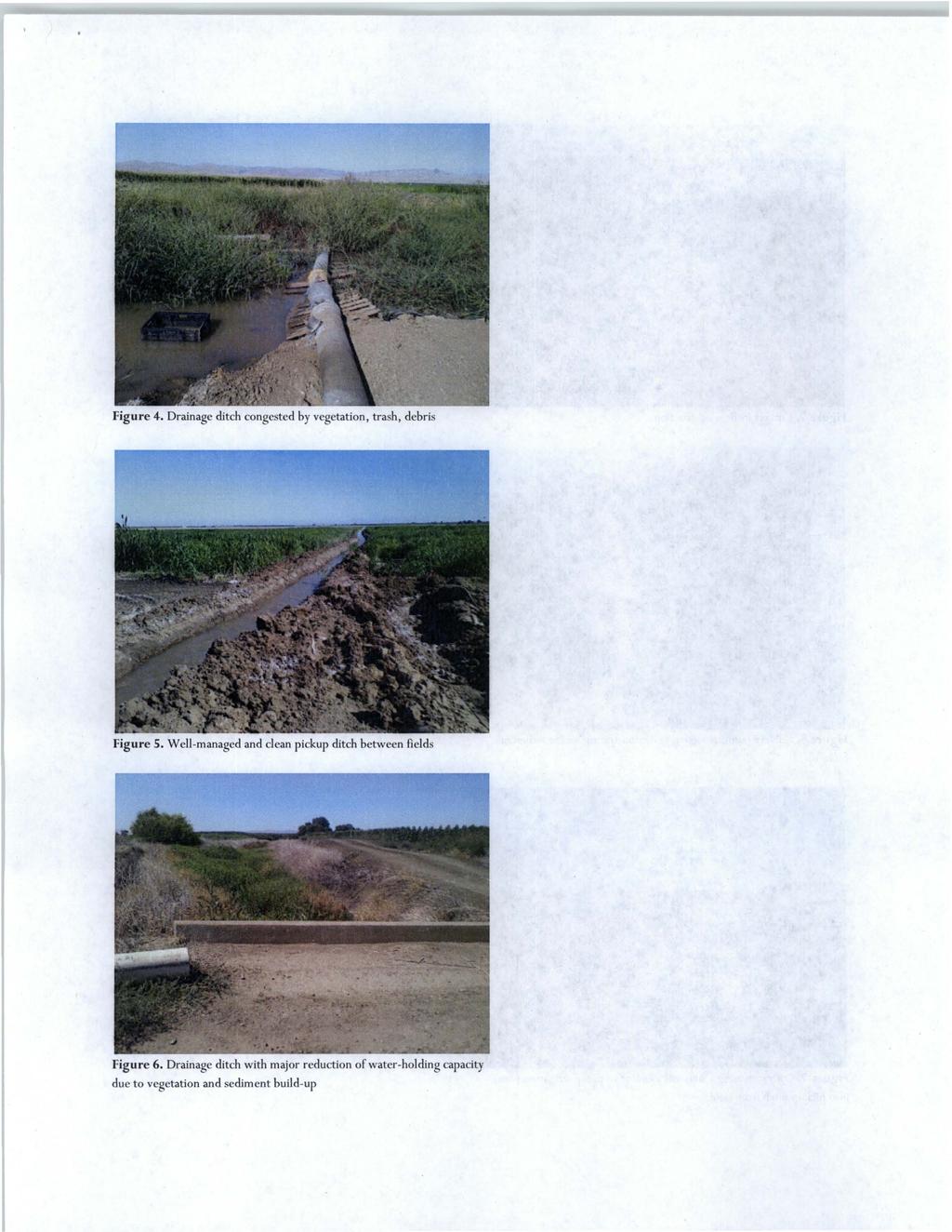 5 of 15 Figure 4. Drainage ditch congested by vegetation, trash, debris Figure 5.