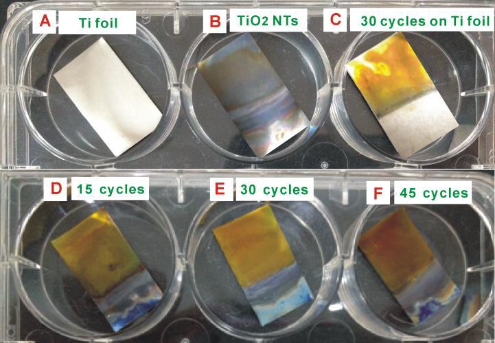 from 15 to 45, the color on the electrode appears varied from transparent pale yellow to dark orange, implying more BiOI with changed sizes has been loaded onto the TiO 2 NTs.