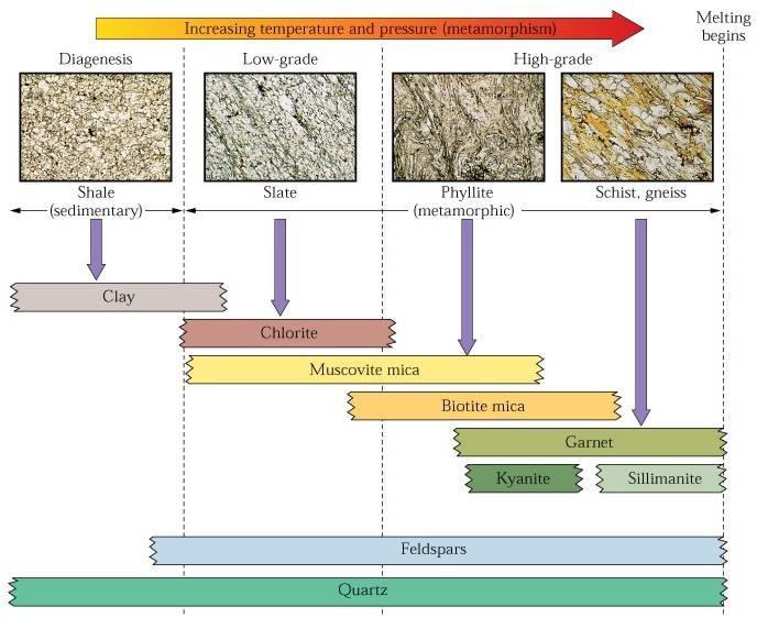 COMPOSITION OF METAMORPHIC ROCK Metamorphic rocks can be classified by the minerals present.