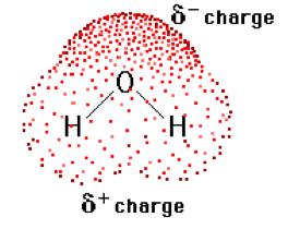 Charges are not distributed equally in such a molecule. Positive and negative poles exist. Examples of polar covalent bonds are C Cl, H Cl, and O H.