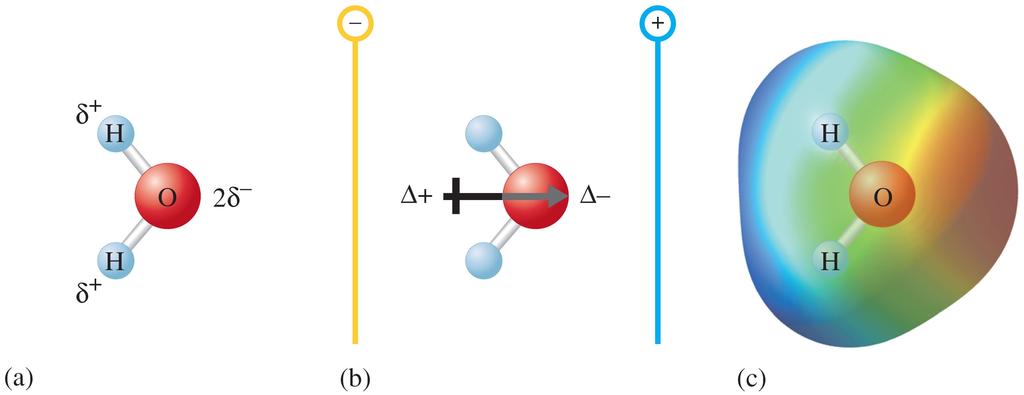 The arrow points to the center of negative charge while the tail is at the center of positive charge. It is possible to determine the polarity of a bond by the size of ΔEN.