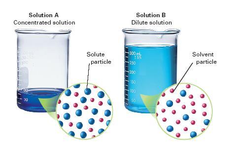 solution describes the amount of solute that is dissolved in a given quantity of.