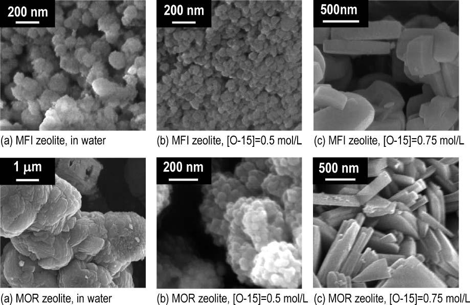 151 patterns and FE-SEM images of the obtained samples, respectively.
