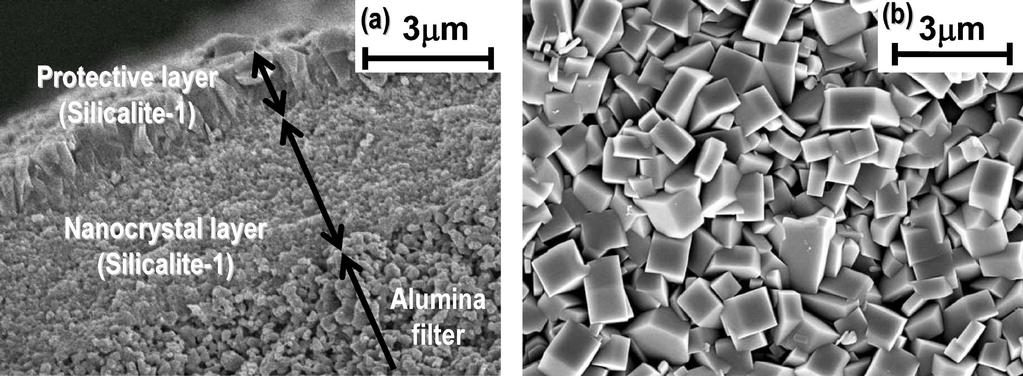 157 Fig. 11 SEM Images of (a) Cross-section and (b) Top View of the Silicalite-1 Nanocrystal-layered Membrane The acetone concentration was 90 wt%. Fig. 12 Effects of (a) Layer Thickness of and (b) Crystal Size of Nano-crystalline Silicalite-1 on the Water Flux through the Layered Membrane al.