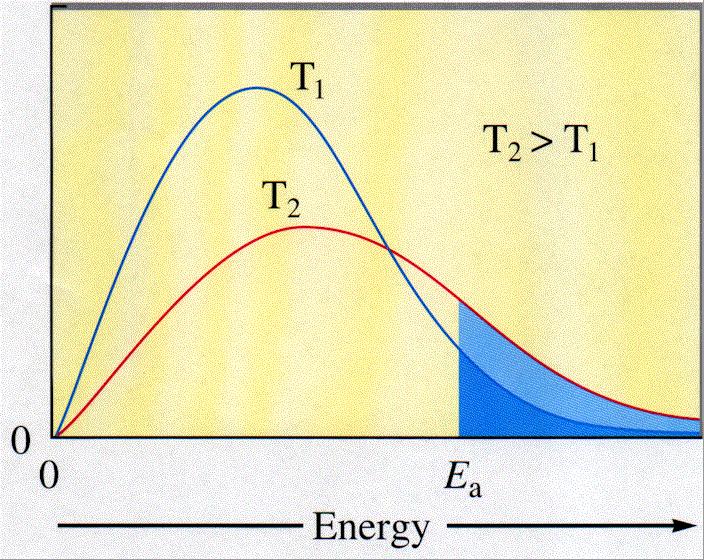 The Maxwell-Boltzmann Distribution and activation energy If the temperature is increased, there is a large increase in the number of molecules with sufficient