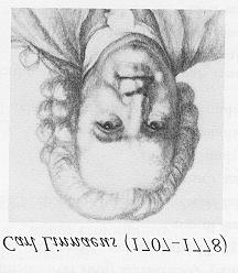Species Concepts Carol Linnaeus (1707-1778) Morphological Species Concept Group of individuals united by similarities that distinguish them from all other individuals.