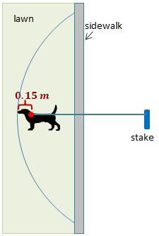 Use the following information to answer NR #2: A dog has a leash tied to a stake in the ground such that she can reach a lawn on other side of a sidewalk as shown.