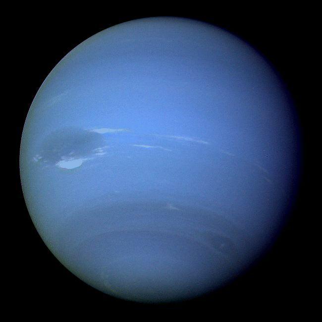 Neptune 8