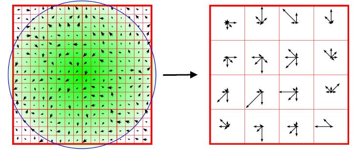 Orientation Histogram 4x4 spatial bins (16 bins total) Gaussian center-weighting