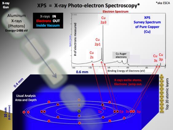 PHYSICAL AND CHEMICAL ANALYSES X-ray Photoelectron Spectroscopy (XPS) Detect
