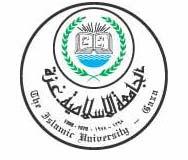 Islamic University of Gaza Faculty of Engineering Electrical & Computer Dept. Prepared by: Eng. Talal F.