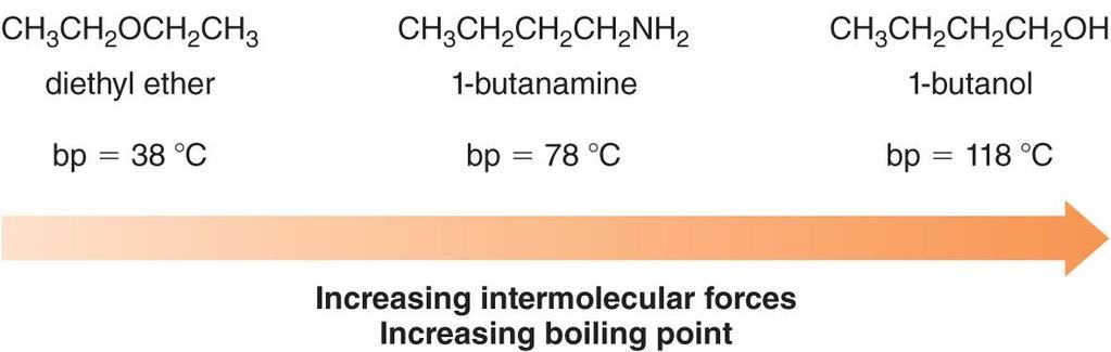 Physical Properties 1 o and 2 o amines have higher boiling points than compounds that do not have intermolecular hydrogen