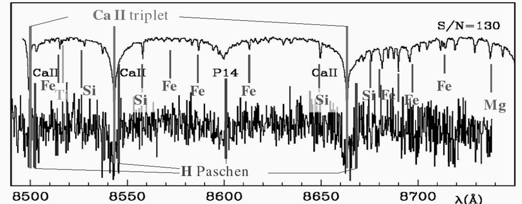 502 Figure 1. Example of line identifications for one F3 III star, with different signal to noise ratios, in the RVS wavelength range and R=11 500.