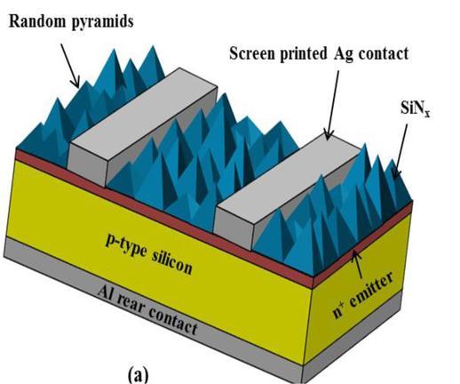 Basic Structure of Silicon Solar Cell 120 µm 2-3 mm