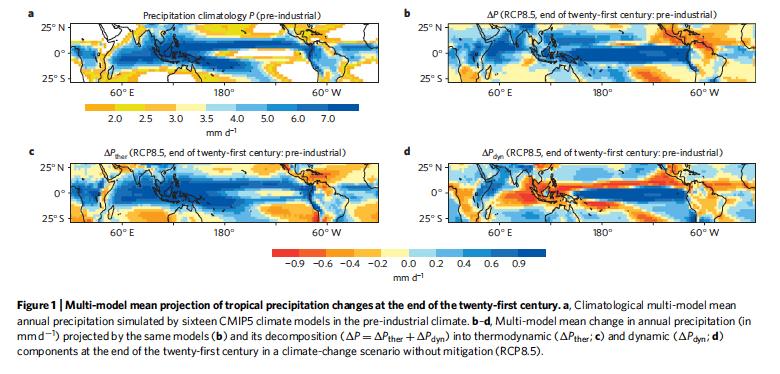 Tropical precipitation response to greenhouse warming (RCP8.