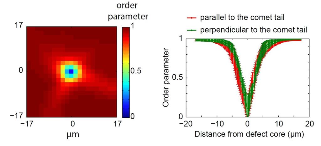 8 185 186 187 188 189 Figure D: Left: Map of the order parameter near a +1/2 defect core (average map over 6 (+1/2) defects from 2 independent experiments).