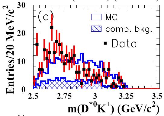 2 in DK and D*K Additional cs surprise? Maybe! Low mass enhancement in DK? Belle sees it and uses an exponential One or two resonances around 2.6-2.7 GeV/c 2 in D*K?