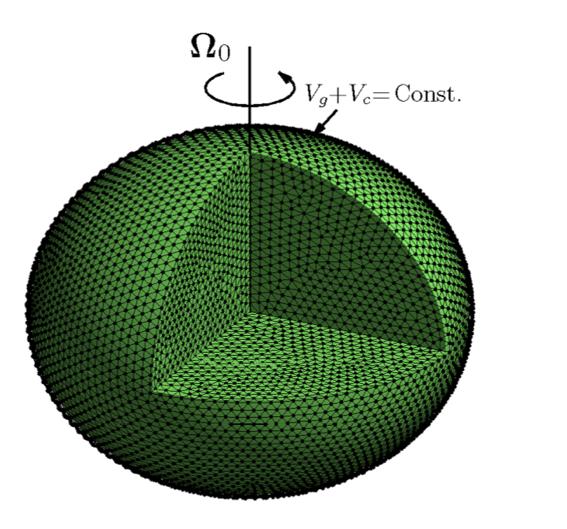 Future improvement: Beyond the standard approach of the theory of figures (Zharkov & Trubitsyn 1978) based on an expansion around spherical geometry: development of 3D numerical solutions
