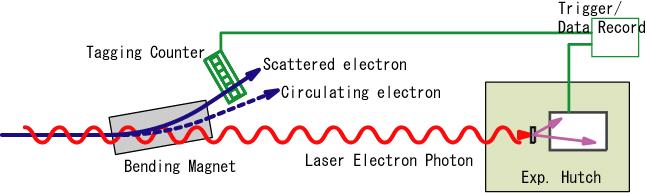 Photon tagging and experiment Timing and position of a scattered electron is measured at a counting rate of ~1 M /sec.