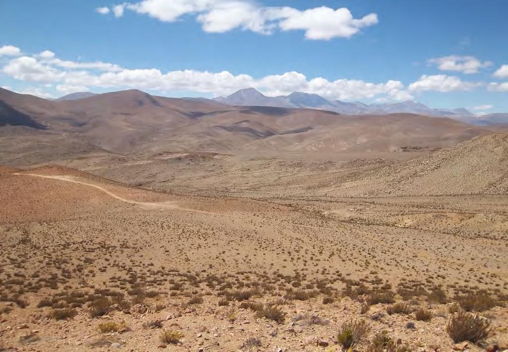 REINA HIJA August 2015 The Reina Hija property is strategically situated along the northern extensions of the Domeyko Cordillera porphyry copper belt in northern Chile, which is host to some of the