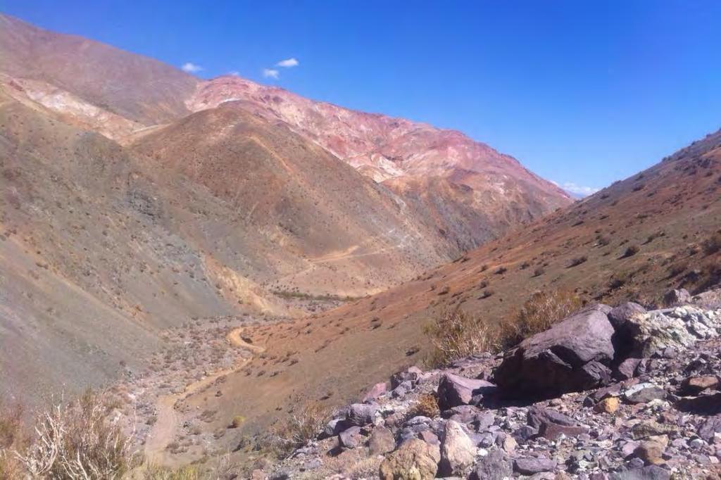 MIRADOR August 2015 Mirador lies along the southern extensions of the highly productive Paleocene Mineral Belt in northern Chile that contains numerous important copper, gold and silver mines and