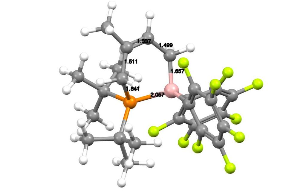 Figure S79: DFT-optimized structures of intermediates in the phospha-claisen reaction of 4b,