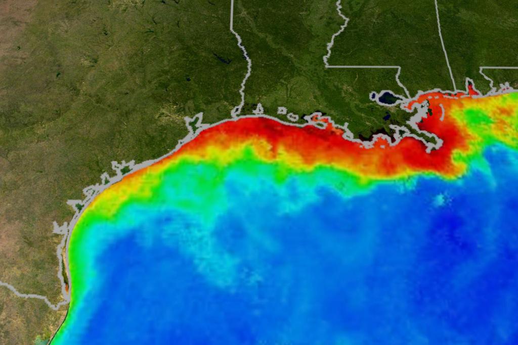 Mississippi River Delta Eutrophication This image of the Gulf of Mexico in the summer was created by the Moderate Resolution Imaging Spectroradiometer