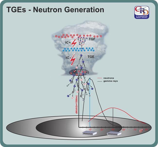 Origin of TGE neutrons (photonuclear reactions: in lead or in atmosphere) 14 N(γ,n) 13 N Detection