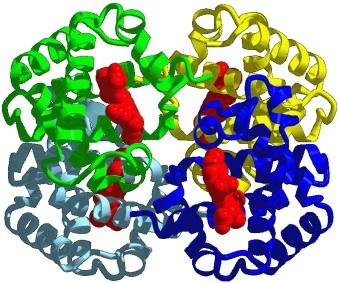 helix-loop-helix and 4 helix bundle Fatty acid binding protein: beta barrel + helix-loop-helix Classes of structures
