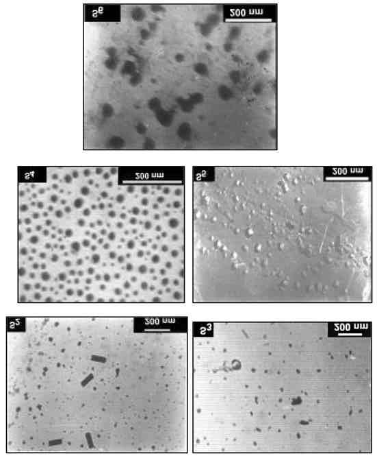 Acoustic study of nano-crystal embedded PbO P O 5 glass 359 Figure. TEM micrographs of glass ceramic samples. Table 1. Sample specifications and particle size of the nano-crystals.