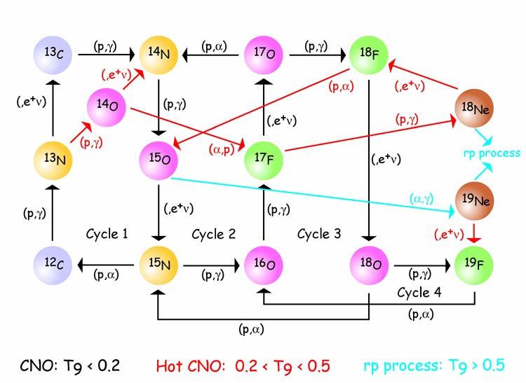 Motivation (2) Breakout from the hot CNO cycle if 19 Ne + p 20 Na* into the rp process.