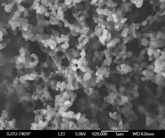 Int. J. Mol. Sci. 2012, 13 6460 Figure 5. SEM images of nanoparticles prepared by SEDS process with different solution flow rates. A 12 MPa, 35 C, 1.0 mg/ml, 0.5 ml/min B 12 MPa, 35 C, 1.0 mg/ml, 1.