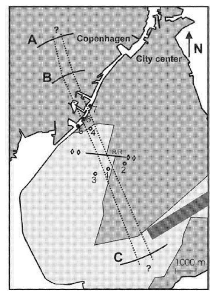 Figure 3.4: Map showing the interpreted location of the Carlsberg Fault zone (shown by dotted lines).