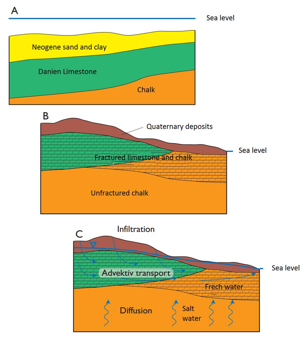 Figure 5.6 Conceptual hydrogeological model for leaching of salt water from the un-fractured chalk to the freshwater zone (Larsen et al. 2006). Larsen et al.