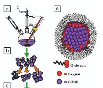 Magnetic Nanocrystals Colloidal Chemical Synthesis of Cobalt Nanoparticles (a) nanoparticle (NP) synthesis by high-temperature solution-phase routes;