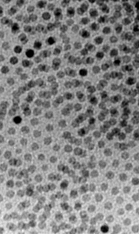 Nanocrystals without a Size