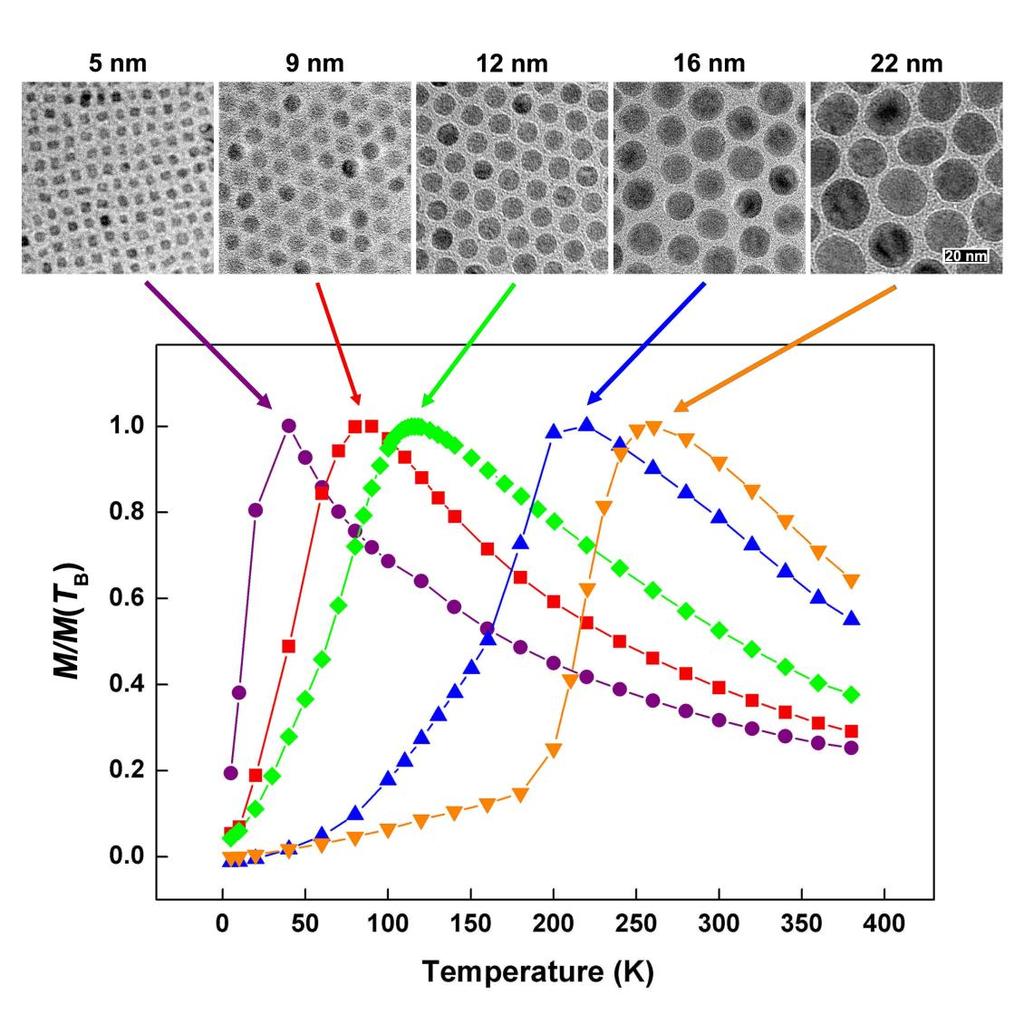 Magnetization (M) vs. Temperature of iron oxide nanoparticles 1) Temperature dependence of magnetization measured after zerofield cooling (ZFC) using 100 Oe.