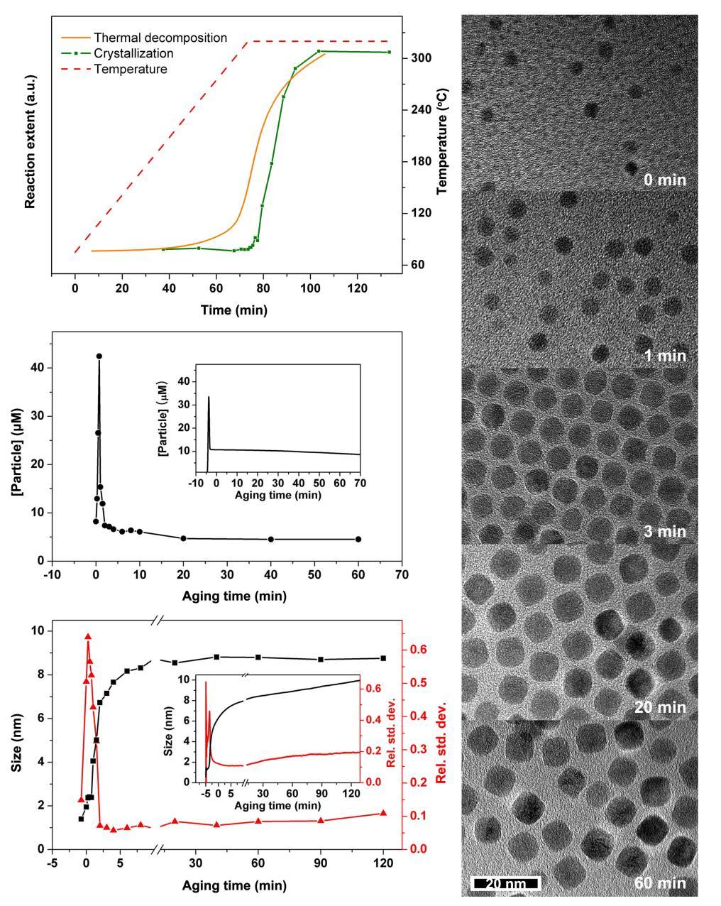 Growth Mechanism of Monodisperse Iron Oxide Nanocrystals by Heating-up Process using