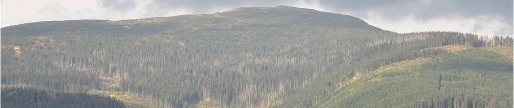 stavu lesných porastov v oblasti A zóny CHKO Horná