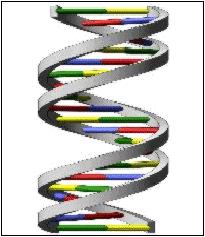 4. Genetic lgorithms 41 Genetic lgorithms Like natural selection in which an organism creates offspring according to its fitness for the environment Essentially a