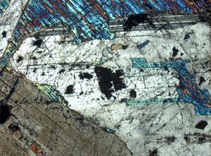 Clinopyroxene (< 1 7 modal %) forms large interstitial crystals (up to 9 mm long) that contain orthopyroxene
