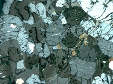 Note the small, subrounded orthopyroxene enclosed in clinopyroxene. Sample MO 18.